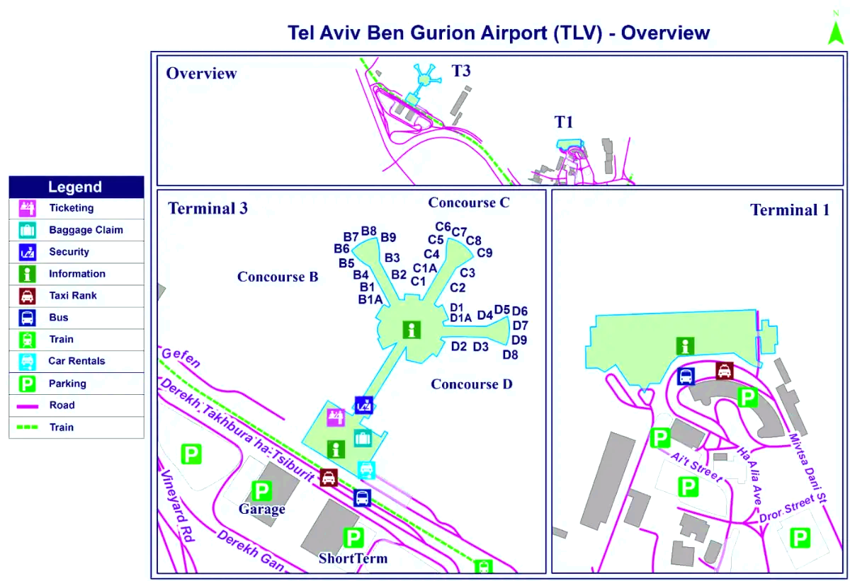 Międzynarodowy port lotniczy Ben Guriona